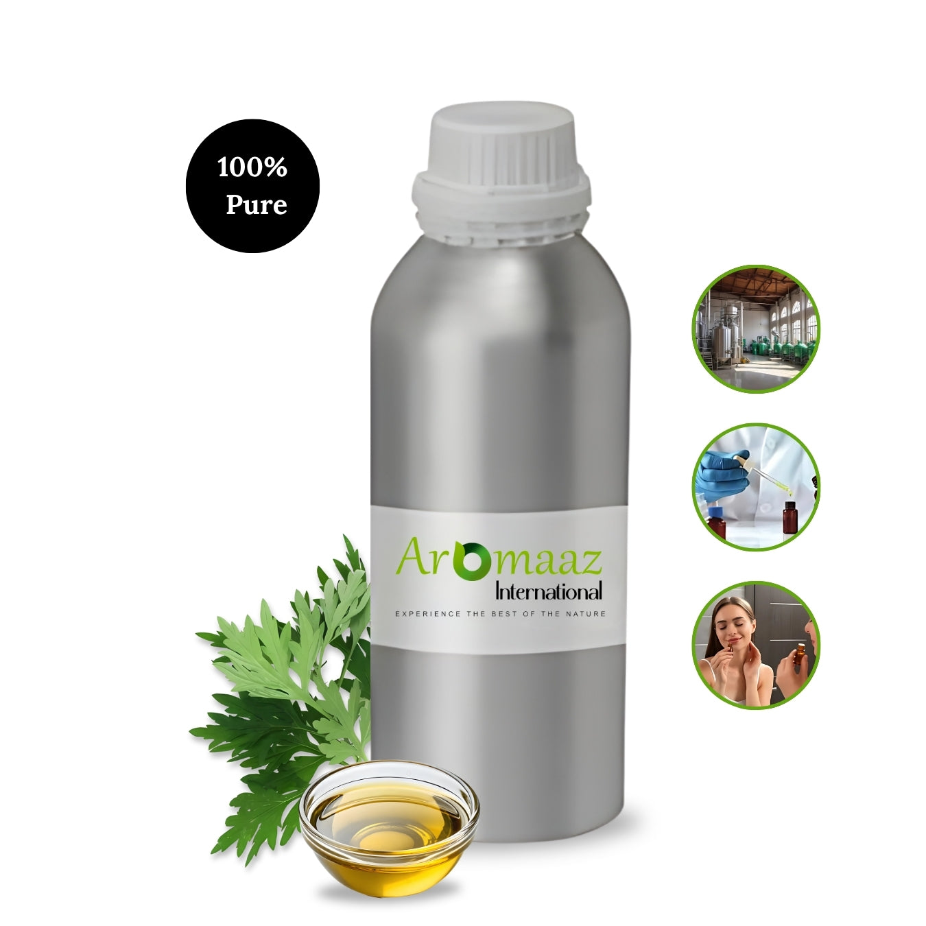 Pure Armoise & Tea Tree Essential Oil – Organic Moroccan Blend for Glowing, Clear Skin - GLOW FIT ESSENTIALS